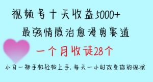 十天收益5000+，多平台捞金，视频号情感治愈漫剪，一个月收徒28个，小白一部手机轻松上手【揭秘】-铭创资源库
