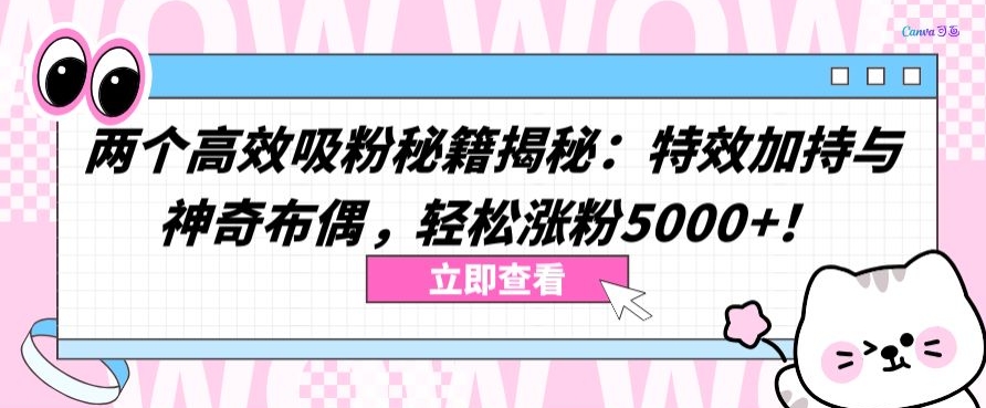 两个高效吸粉秘籍揭秘：特效加持与神奇布偶，轻松涨粉5000+【揭秘】-铭创资源库