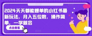 2024天天都能爆单的小红书最新玩法,月入五位数,操作简单,一学就会【揭秘】-铭创资源库