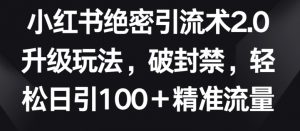 小红书绝密引流术2.0升级玩法,破封禁,轻松日引100+精准流量【揭秘】-铭创资源库