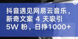 抖音遇见网易云音乐,新奇文案 4 天吸引 5W 粉,日挣1000+【揭秘】-铭创资源库