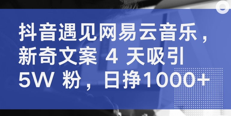抖音遇见网易云音乐，新奇文案 4 天吸引 5W 粉，日挣1000+【揭秘】-铭创资源库
