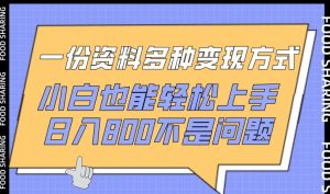 一份资料多种变现方式,小白也能轻松上手,日入800不是问题【揭秘】-铭创资源库