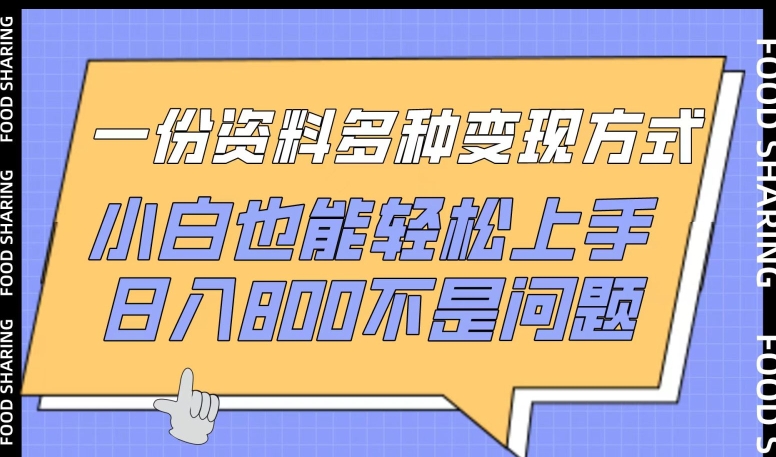 一份资料多种变现方式，小白也能轻松上手，日入800不是问题【揭秘】-铭创资源库