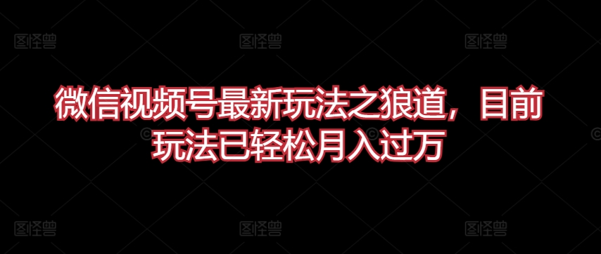 微信视频号最新玩法之狼道，目前玩法已轻松月入过万【揭秘】-铭创资源库