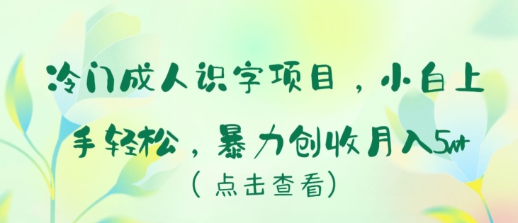 冷门成人识字项目，小白上手轻松，暴力创收月入5w+【揭秘】-铭创资源库