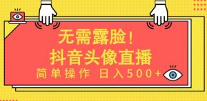 无需露脸,Ai头像直播项目,简单操作日入500+【揭秘】-铭创资源库