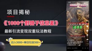 一千个野路子信息差最新玩法教程-变现+引流的玩法具体拆解【揭秘】-铭创资源库