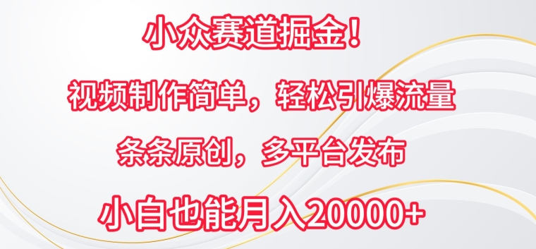 小众赛道掘金，视频制作简单，轻松引爆流量，条条原创，多平台发布【揭秘】-铭创资源库