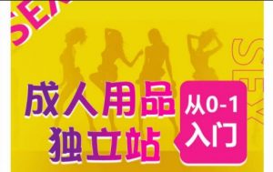 成人用品独立站从0-1入门,成品独立站运营全流程教学,七大好卖成品独立站推荐-铭创资源库
