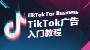 TikTok广告入门教程,从0到1掌握TikTok投放的全流程-铭创资源库