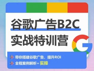 谷歌广告B2C实战特训营,500+谷歌账户总结经验,实战演示如何从0-1搭建广告账户-铭创资源库
