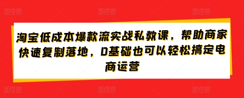 淘宝低成本爆款流实战私教课，帮助商家快速复制落地，0基础也可以轻松搞定电商运营-铭创资源库