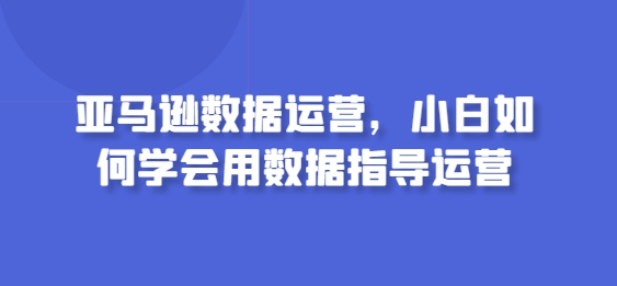 亚马逊数据运营，小白如何学会用数据指导运营-铭创资源库
