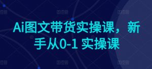 Ai图文带货实操课,新手从0-1 实操课-铭创资源库