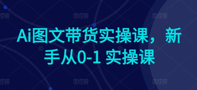 Ai图文带货实操课，新手从0-1 实操课-铭创资源库