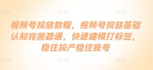 视频号投放教程,视频号投放基础认知完善疏通,快速建模打标签,稳住投产稳住账号-铭创资源库