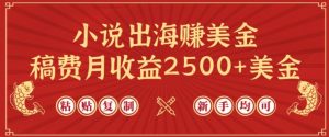 小说出海赚美金，稿费月收益2500+美金，仅需chatgpt粘贴复制，新手也能玩转【揭秘】-铭创资源库