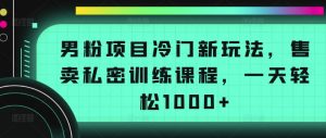 男粉项目冷门新玩法，售卖私密训练课程，一天轻松1000+【揭秘】-铭创资源库