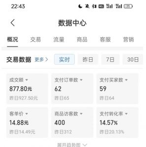 拼多多虚拟U盘电商红利项目:月赚2万+,新手小白也能玩-铭创资源库