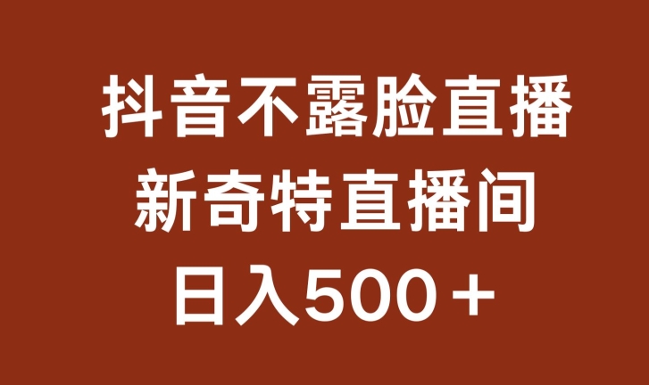 不露脸挂机直播，新奇特直播间，日入500+【揭秘】-铭创资源库