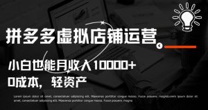 拼多多虚拟店铺运营小白也能月收入10000+【揭秘】-铭创资源库