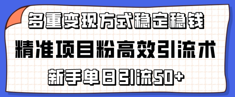 精准项目粉高效引流术，新手单日引流50+，多重变现方式稳定赚钱【揭秘】-铭创资源库