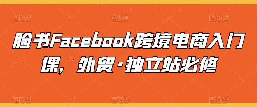 脸书Facebook跨境电商入门课，外贸·独立站必修-铭创资源库