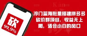冷门蓝海批量搭建拼多多砍价群项目,收益无上限,适合小白的风口【揭秘】-铭创资源库