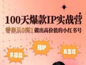 小红书100天爆款IP实战营，带你从0到1做出高价值的小红书号-铭创资源库