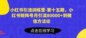 小红书引流训练营-第十五期，小红书矩阵号月引流80000+到微信方法论-铭创资源库