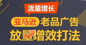 亚马逊流量增长-老品广告放量增效打法,循序渐进,打造更多TOP listing-铭创资源库