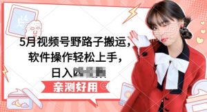 5月视频号野路子搬运，软件操作轻松上手，日入三位数【揭秘】-铭创资源库