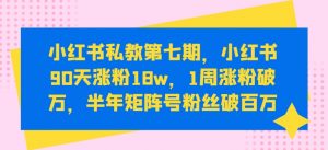 小红书私教第七期，小红书90天涨粉18w，1周涨粉破万，半年矩阵号粉丝破百万-铭创资源库