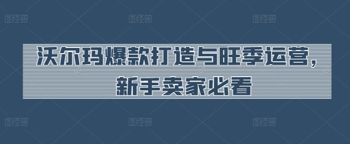 沃尔玛爆款打造与旺季运营，新手卖家必看-铭创资源库