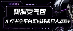 小红书等全平台树洞受气包项目,轻松日入一两张【揭秘】-铭创资源库