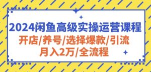 2024闲鱼高级实操运营课程：开店/养号/选择爆款/引流/月入2万/全流程-铭创资源库