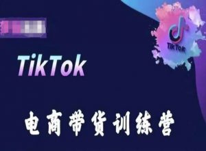 TikTok电商带货训练营,跟随时代潮流,跨境掘金-铭创资源库