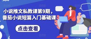 小说推文私教课第9期,番茄小说短篇入门基础课-铭创资源库