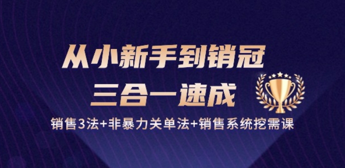 从小新手到销冠 三合一速成：销售3法+非暴力关单法+销售系统挖需课 (27节)-铭创资源库