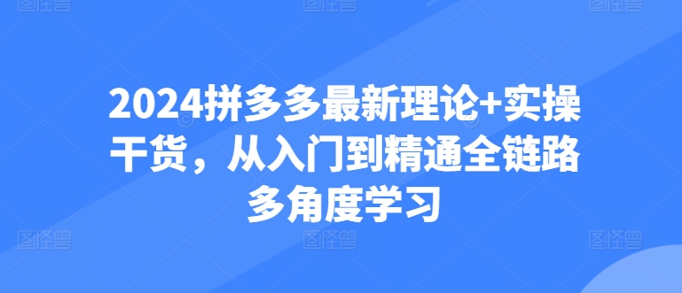 2024拼多多最新理论+实操干货，从入门到精通全链路多角度学习-铭创资源库