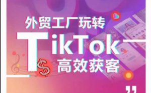 外贸工厂玩转TikTok高效获客，多种引流方式与账号定位技巧，拆解爆款短视频打造成功案例-铭创资源库