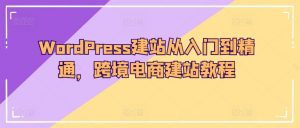 WordPress建站从入门到精通,跨境电商建站教程-铭创资源库
