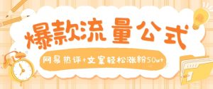 爆款流量公式,网易热评+文案轻松涨粉50w+【揭秘】-铭创资源库