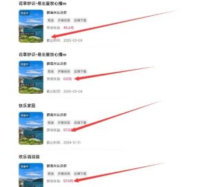 磁力聚星游戏副业陪跑训练营1.0，长期稳定项目，有人一周干了1K+-铭创资源库