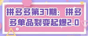 拼多多第37期:拼多多单品裂变起爆2.0-铭创资源库