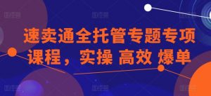速卖通全托管专题专项课程，实操 高效 爆单-铭创资源库