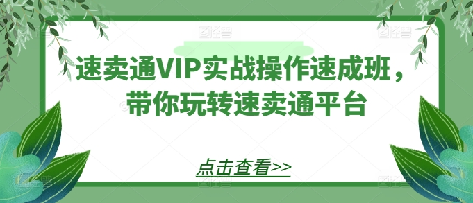 速卖通VIP实战操作速成班，带你玩转速卖通平台-铭创资源库