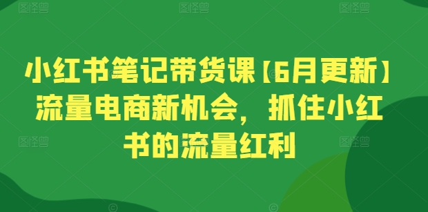 小红书笔记带货课【6月更新】流量电商新机会，抓住小红书的流量红利-铭创资源库