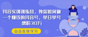 抖音实训训练营，教你如何做一个赚钱的抖音号，单日单号增粉30万-铭创资源库